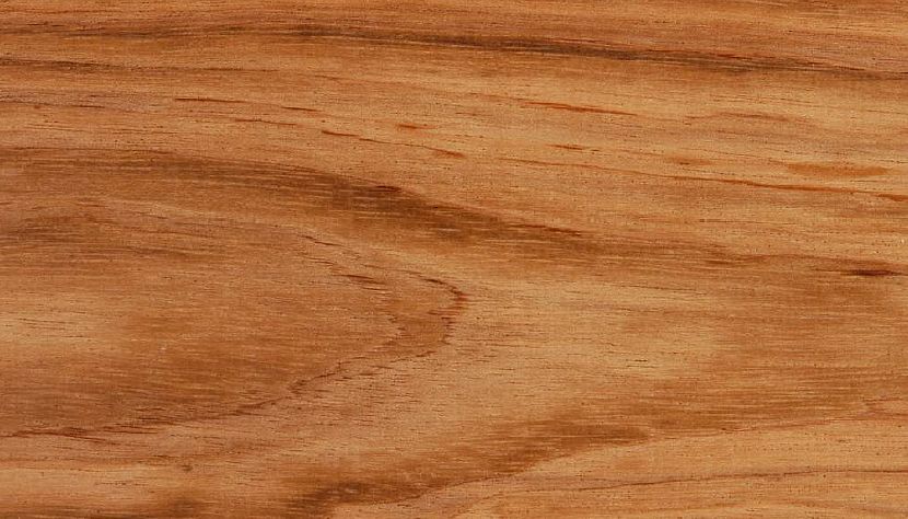 Copaiba