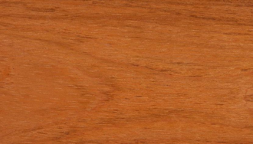 Jatoba